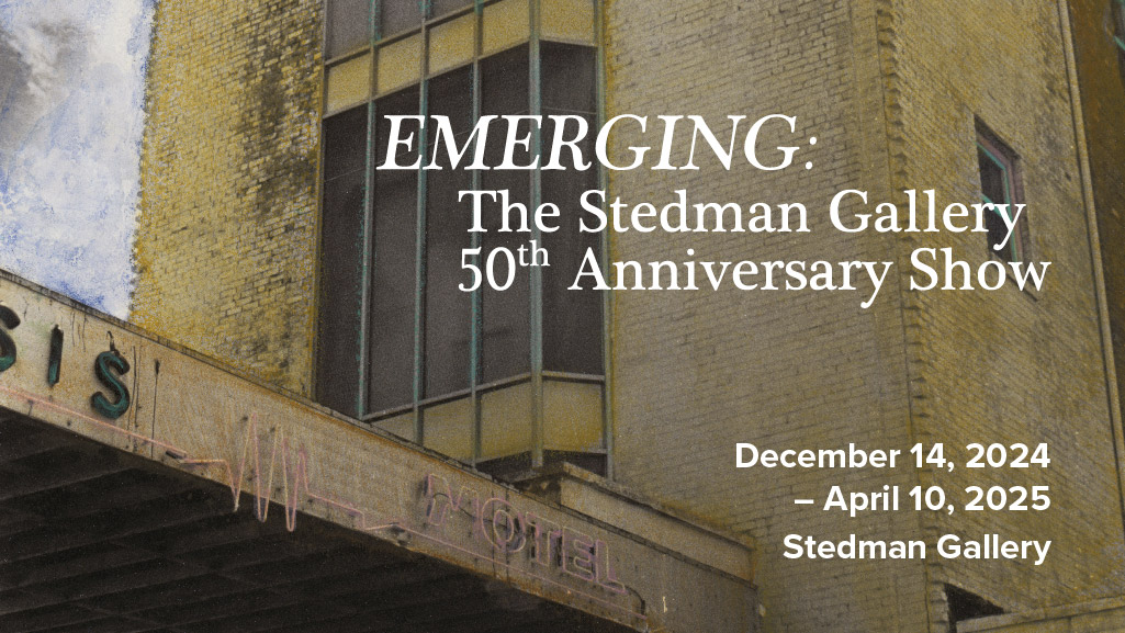 Emerging: The Stedman Gallery 50th Anniversary Show